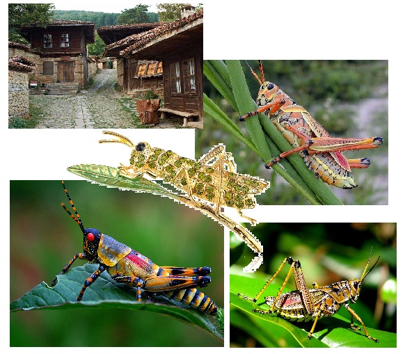 Осенние сверчки