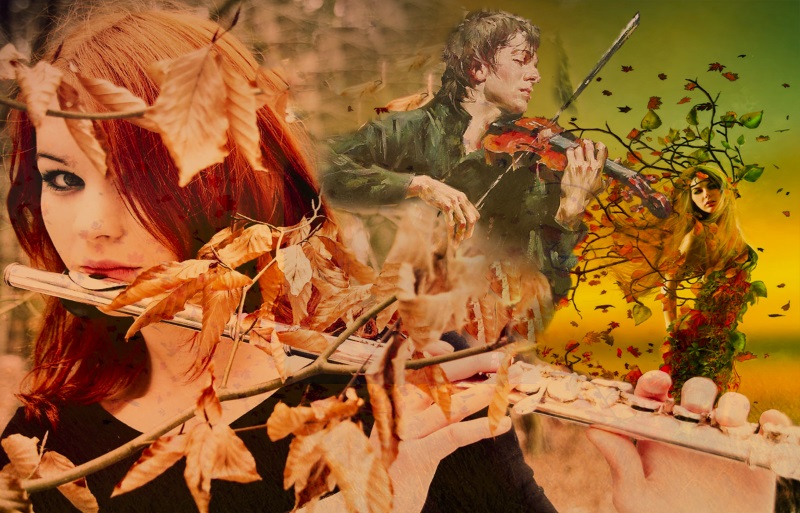 Я осени пою. Осенний музыкант. Осенняя скрипка. Музыкант осень. Музыкант в осеннем парке.