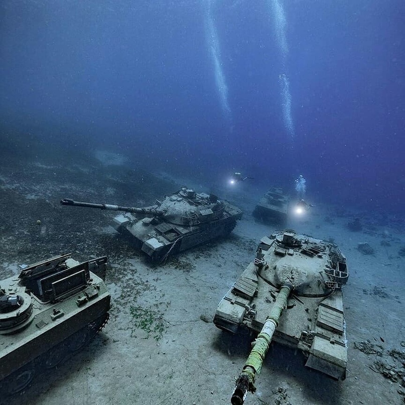 Суммы перевода за сутки