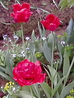 эх - прорвало Вот