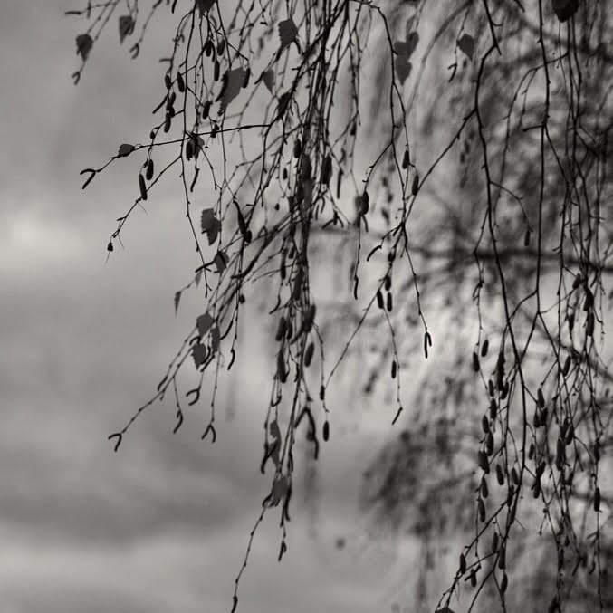 Такая осень...