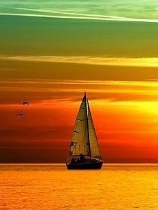 Старость и болезнь