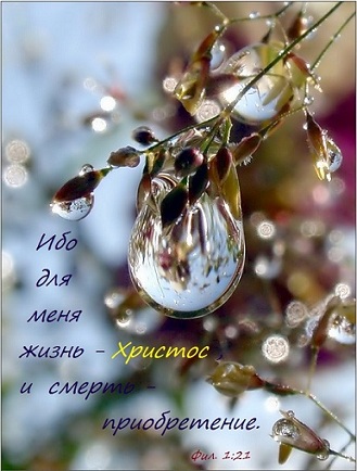 Души созвучности порывы