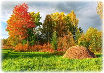Подарки осени