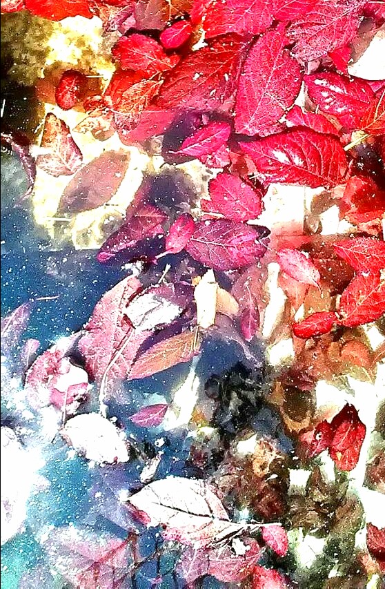 Никак не получается забыть...