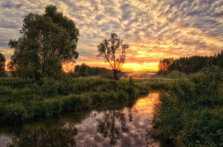 Застывший след