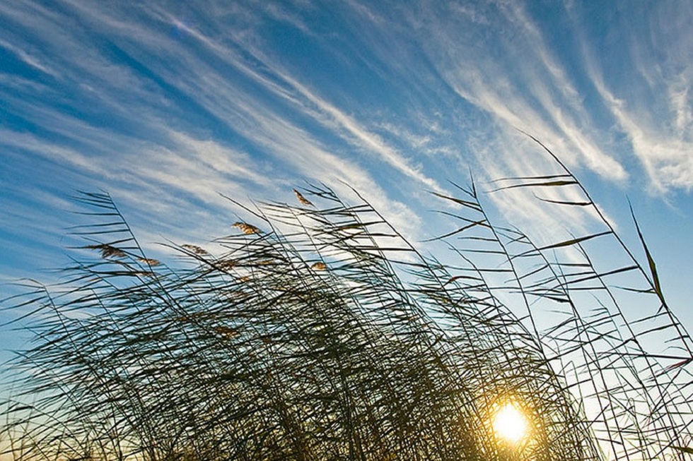 Встречный ветер