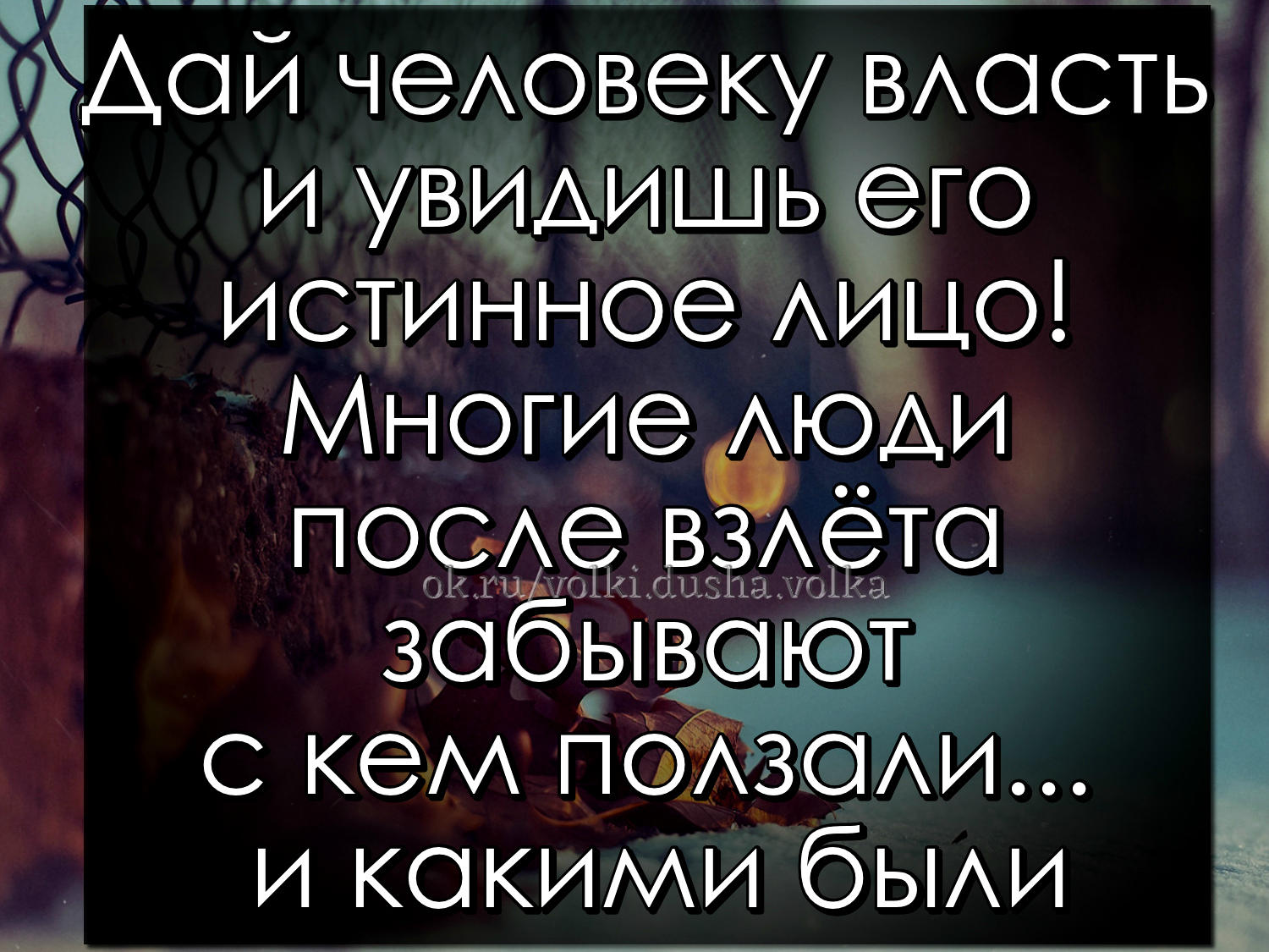 Цитаты про власть. Залог женской дружбы разные вкусы на мужчин и одинаковые на вино. Вся власть от бога карикатура. Истинное лицо человека цитаты. Бог дал свободу воли человеку.