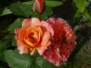 После концерта Рождественские встречи