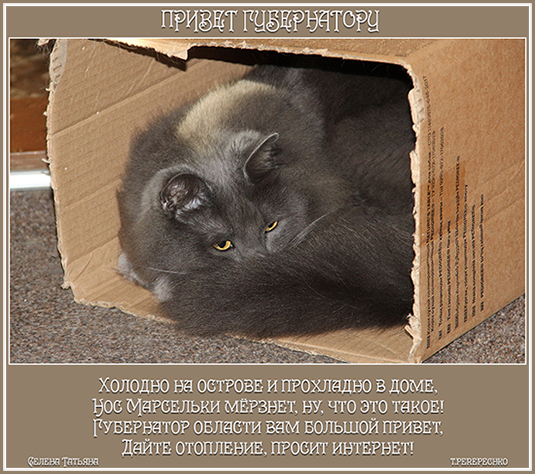 Привет губернатору