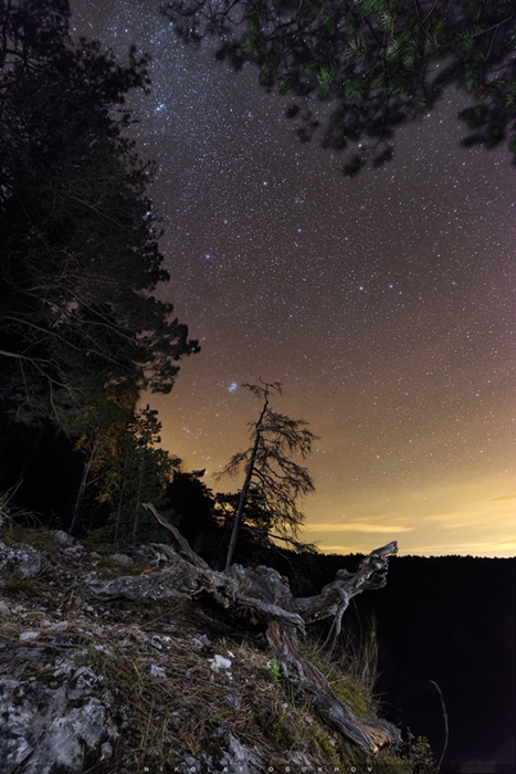 Камо грядеши