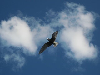 Вопрос без ответа