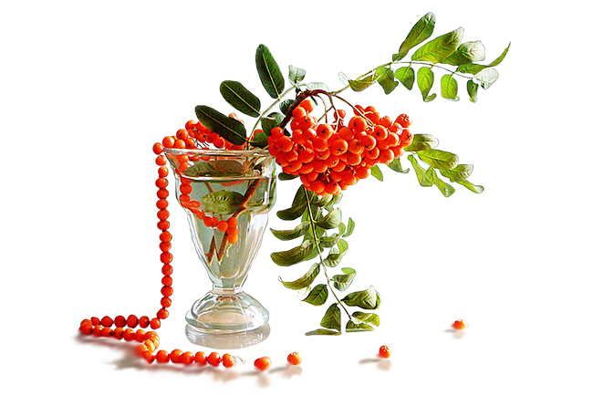 Осеннее рондО