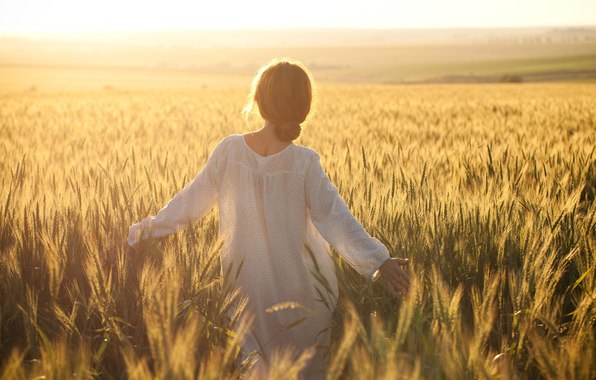 Снами вдали