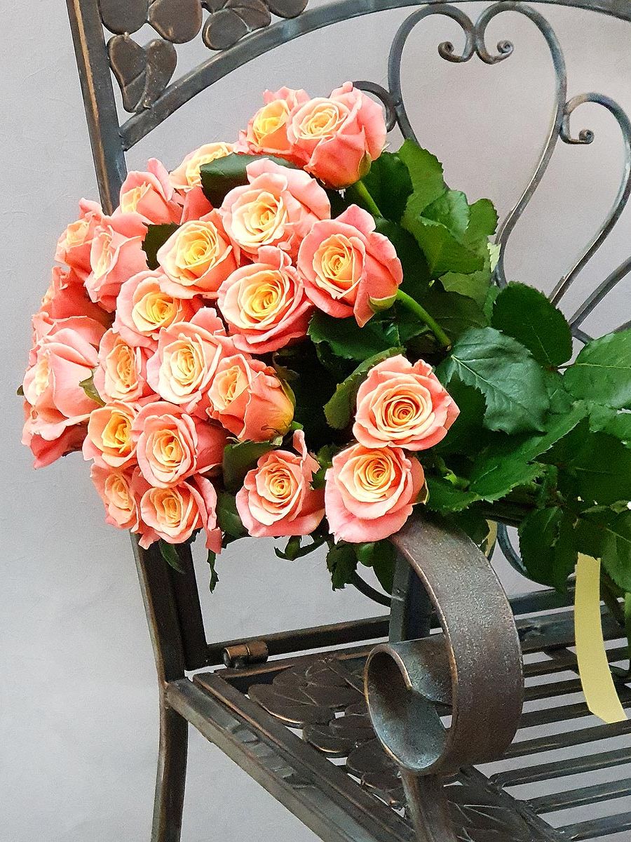 Розы цвета коралла