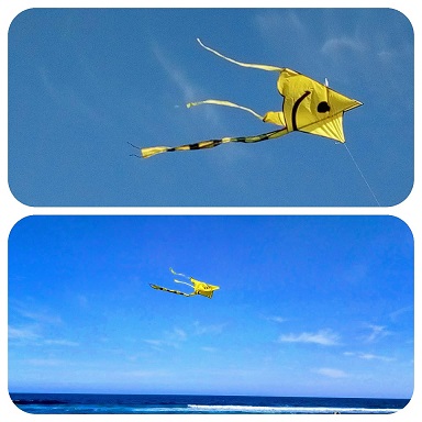 Сине-жёлтый стих