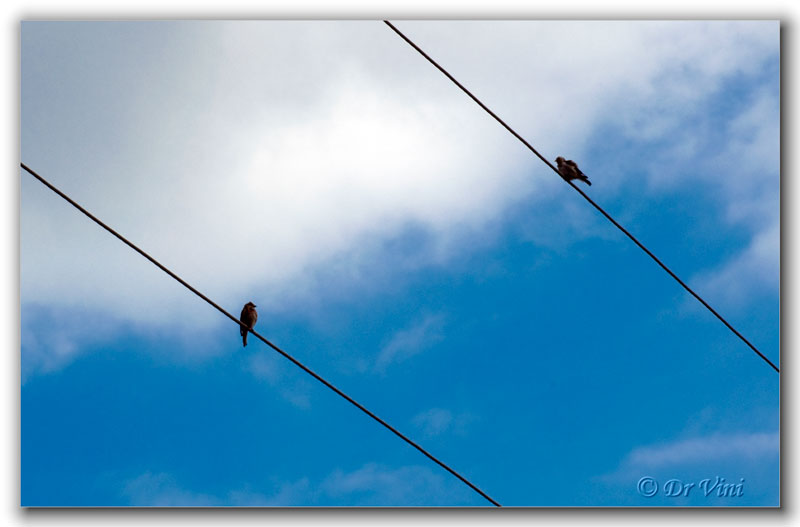 Параллельные