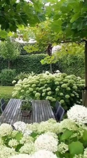 Мысли о годах