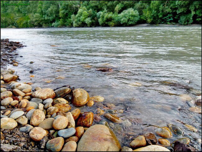 Мое сердце зовет тебя песней, 2019