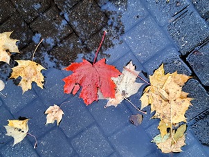 Гостиница Природа