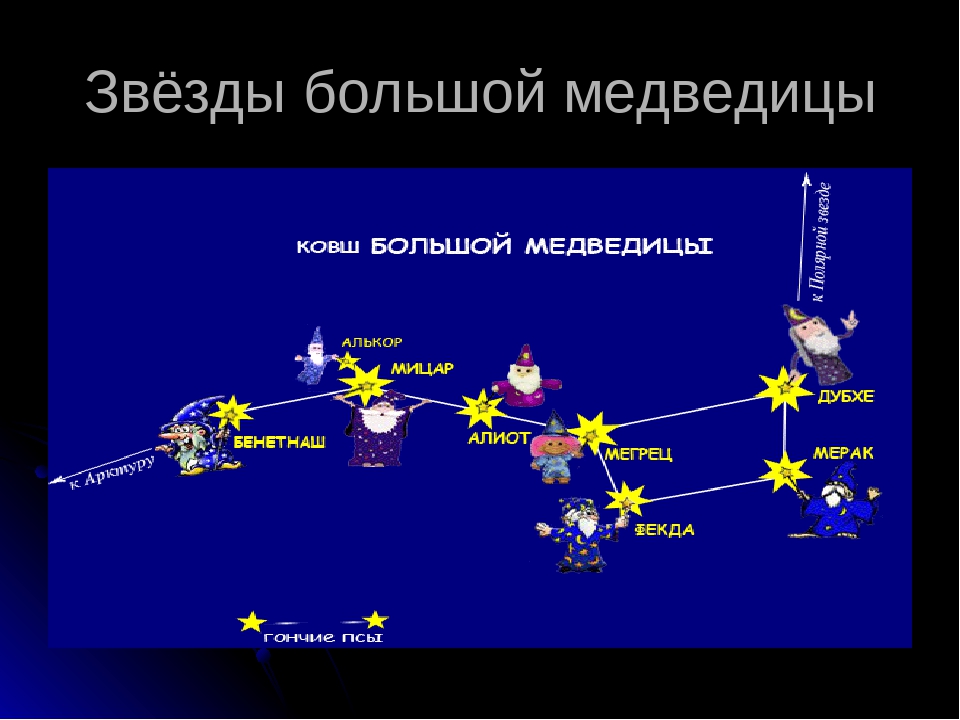 Звезда большая медведица 6 букв сканворд