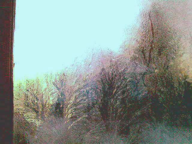 Ударила осень-шаманка в луну