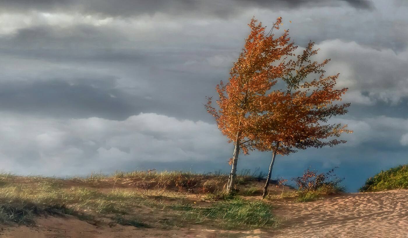 Осенний Ветер Фото