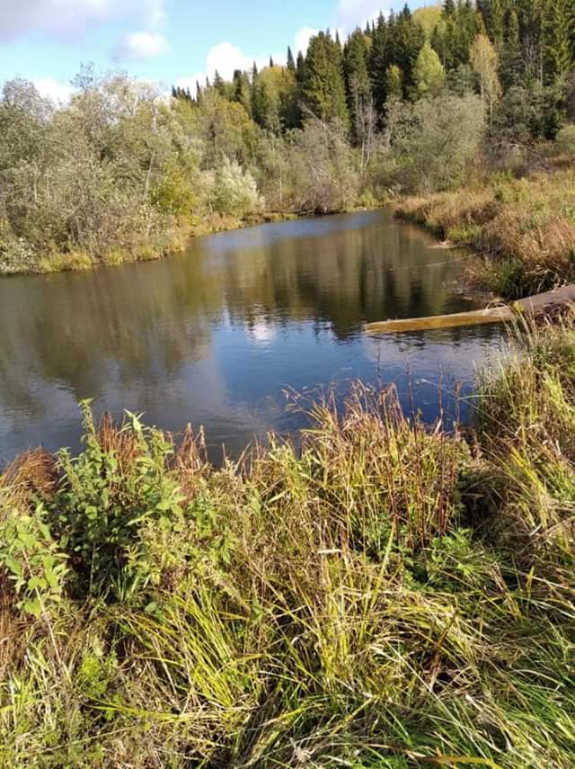 Старица речка