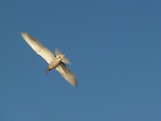 Взлеты-паденья