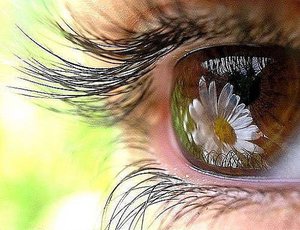 В твоих ресничках заблудилось утро