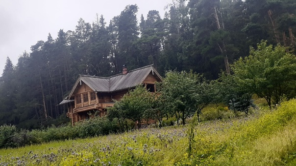 Осенние чувства