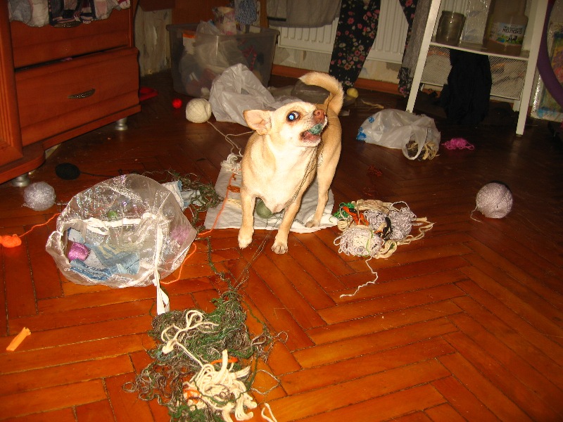 Пока писала стих