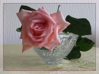 Сумасшествие