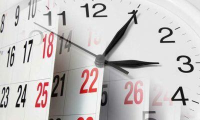 Дни. Веселинка Стойкович