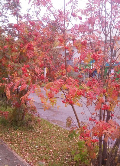 Осеннее