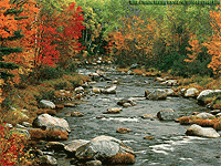 Участники Осеннего Кубка 2019г