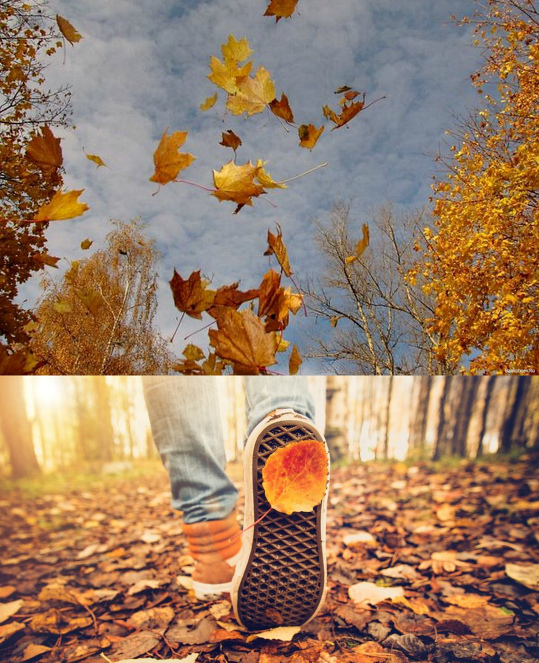 Конец сентября пора. Конец сентября пора. Осенние заморозки. Стоял конец сентября. Середина осени.