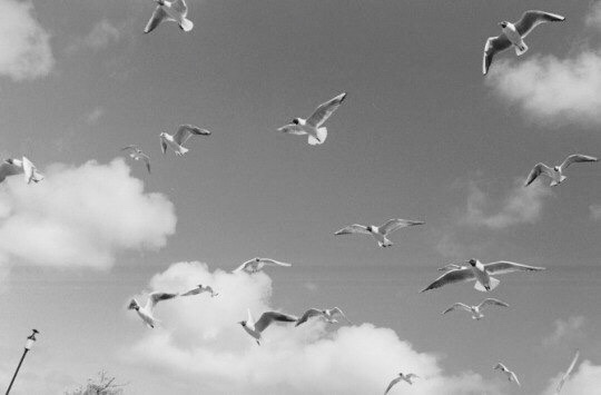 Любовь в прошлом