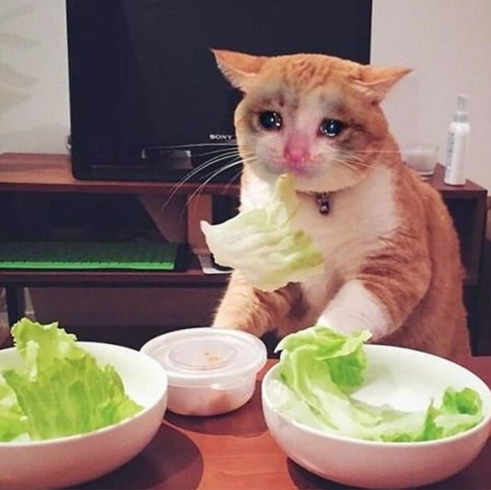 Другая жизнь