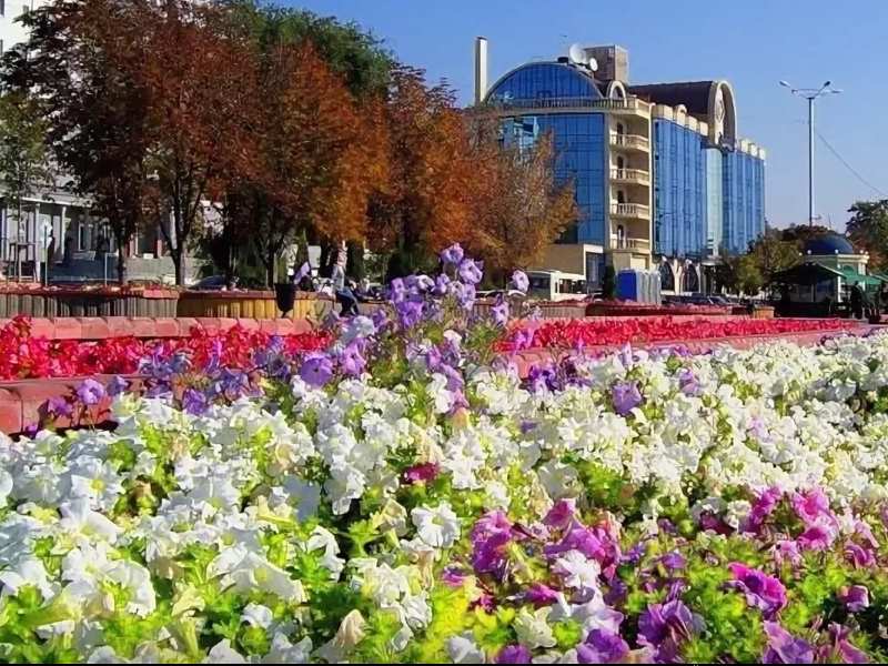 Фото Купить В Ростове На Дону