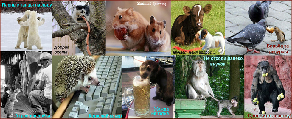 Итоги конкурса ко Дню Смайлика 2019