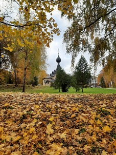 Заглянуло к нам сегодня бабье лето