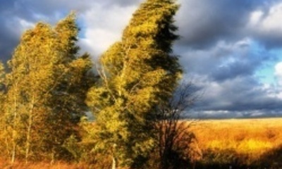 Ныне очень шумливая осень...