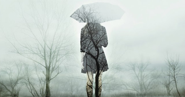 Прилетит удача