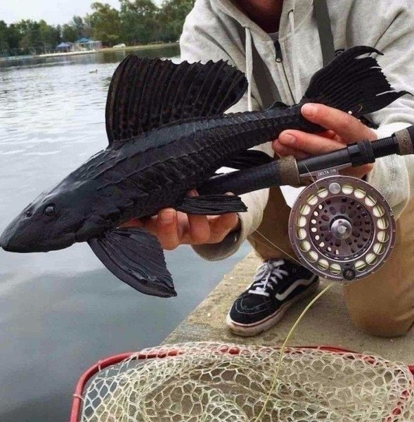 Иногда дети рождаются от любви