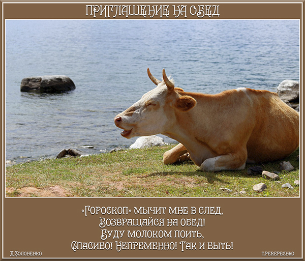 Приглашение на обед (Тамара Перепечко 2) / Стихи.ру