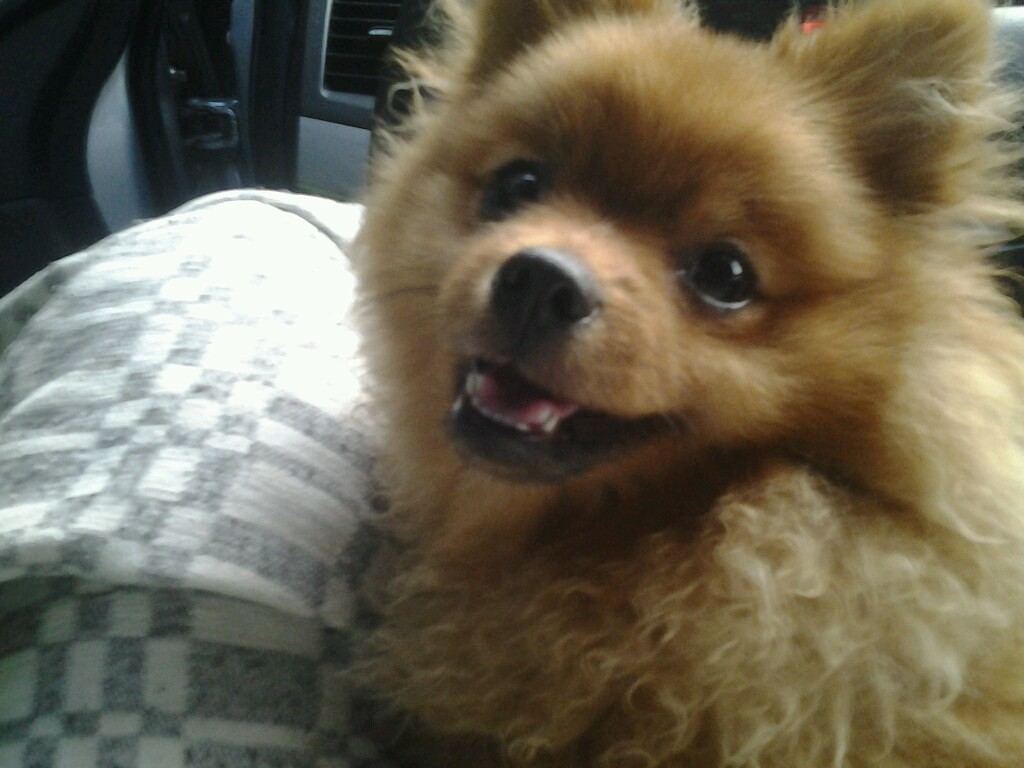 Ты стала облачком на небе