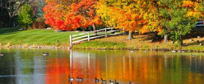 А паутинки все летят, летят...