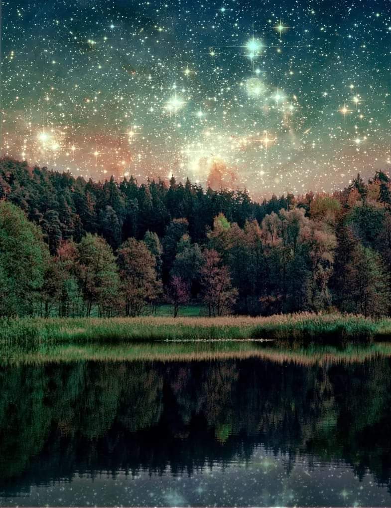 Космос это природа. Ночное небо. Природа ночью. Звезды над лесом. Ночное небо в лесу.