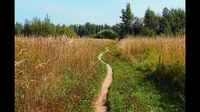 Сиротская тропа